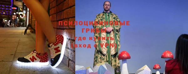 мескалин Богородицк