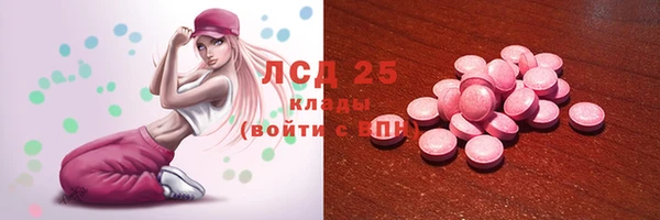 спайс Богданович