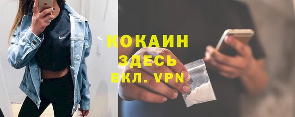 спайс Богданович