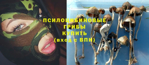 мескалин Богородицк