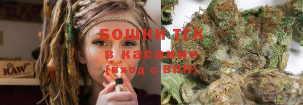 спайс Богданович